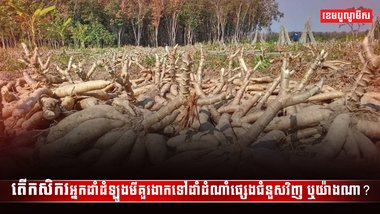 វិស័យកសិកម្ម