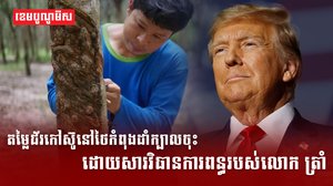 ទីផ្សារជ័រកៅស៊ូ
