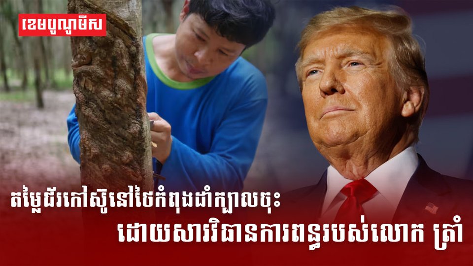 ទីផ្សារជ័រកៅស៊ូ