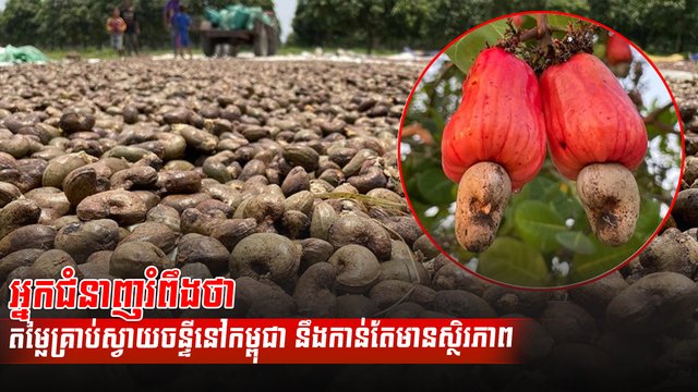 វិស័យកសិកម្ម