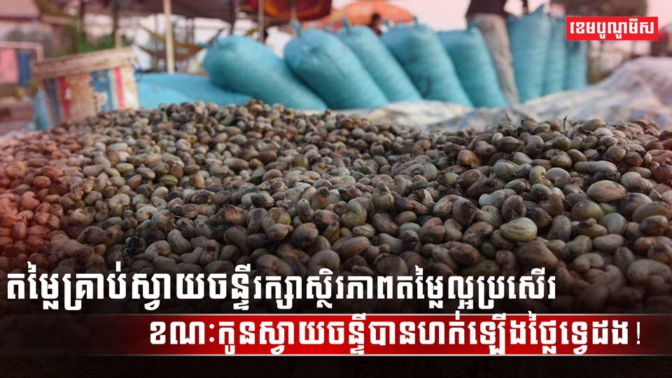 តម្លៃគ្រាប់ស្វាយចន្ទី