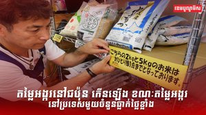 វិស័យស្រូវ អង្ករ