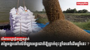 ទីផ្សារអង្ករ