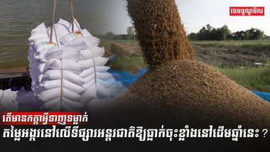 ទីផ្សារអង្ករ