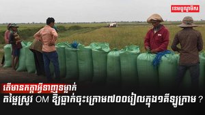 វិស័យកសិកម្ម