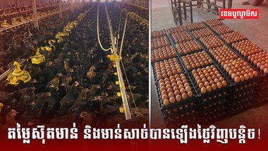 អ្នកចិញ្ចឹមសត្វ