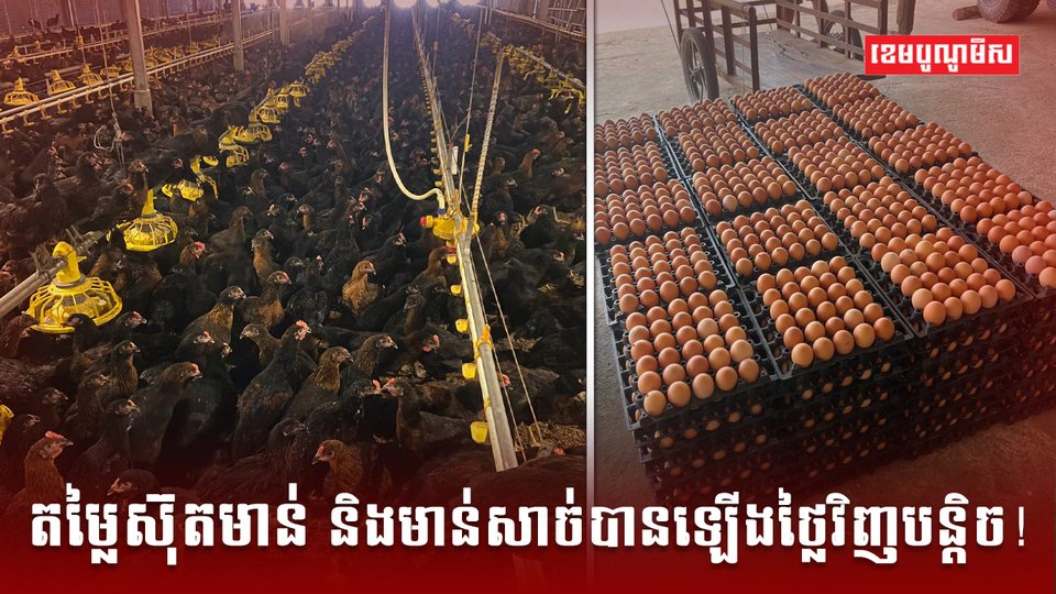 អ្នកចិញ្ចឹមសត្វ