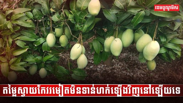 វិស័យកសិកម្ម