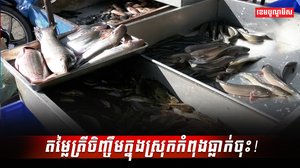 វិស័យវារីវប្បកម្ម