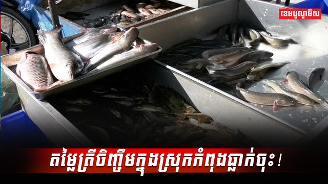 វិស័យវារីវប្បកម្ម