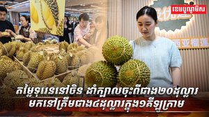 តម្លៃទុរេននៅចិន
