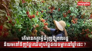 វិស័យកសិកម្ម