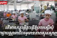 វិស័យ SME
