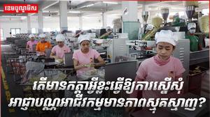 វិស័យ SME