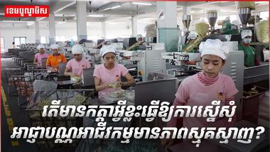 វិស័យ SME