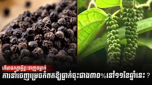 ទីផ្សារម្រេច