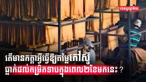 ទីផ្សារកៅស៊ូ​