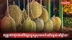 វិស័យកសិកម្ម