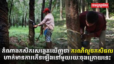 វិស័យកសិកម្ម
