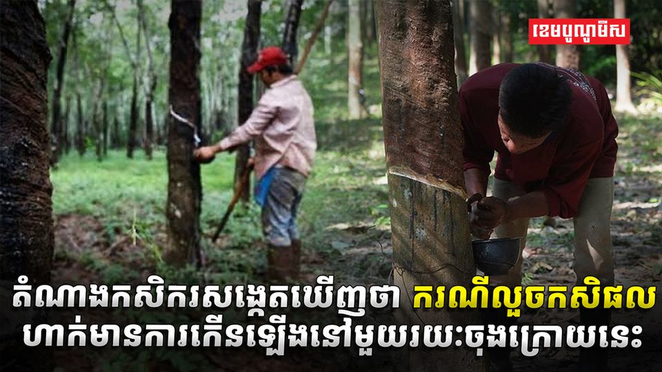 វិស័យកសិកម្ម