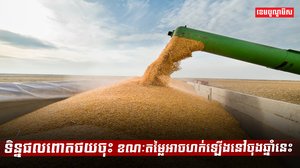 វិស័យកសិកម្ម