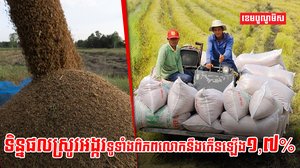 ទីផ្សារអង្ករ
