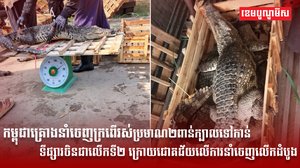 ទីផ្សារសត្វក្រពើ