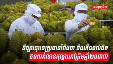 វិស័យកសិកម្ម