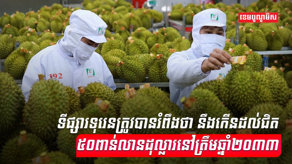 វិស័យកសិកម្ម