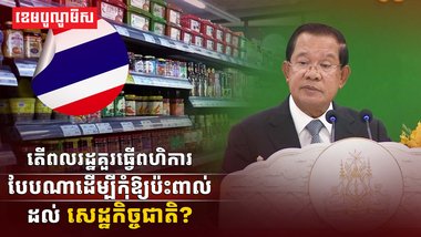 វិស័យ SME