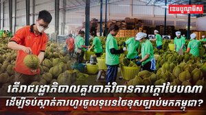 ទុរេនថៃខុសច្បាប់