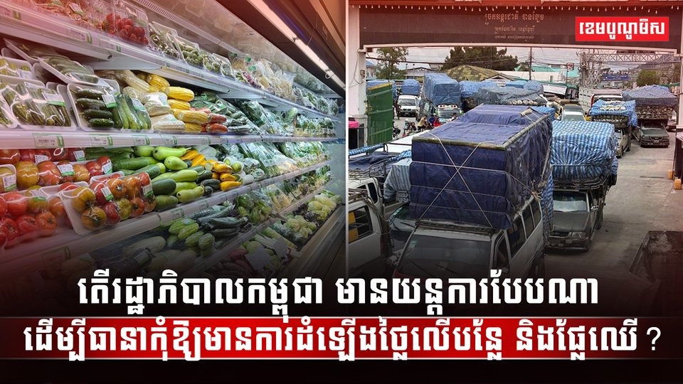 វិស័យកសិកម្ម