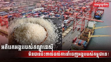 វិស័យស្រូវ អង្ករ