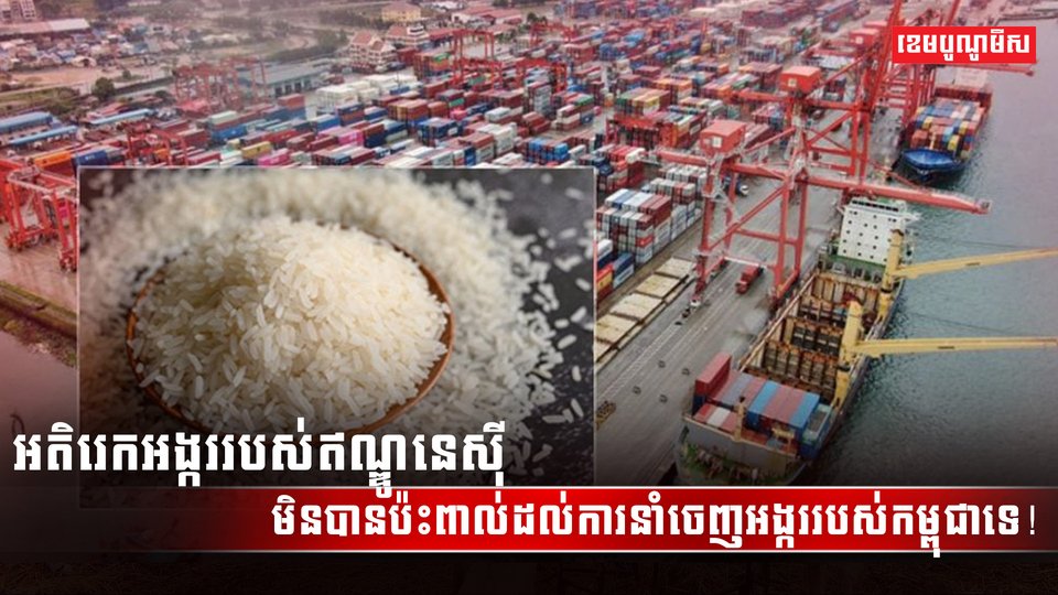 វិស័យស្រូវ អង្ករ