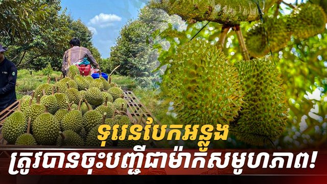វិស័យ​កសិកម្ម