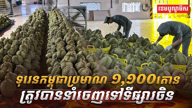 វិស័យកសិកម្ម