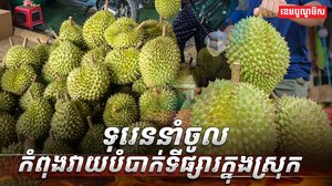ទុរេននាំចូល