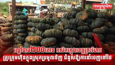 វិស័យកសិកម្ម