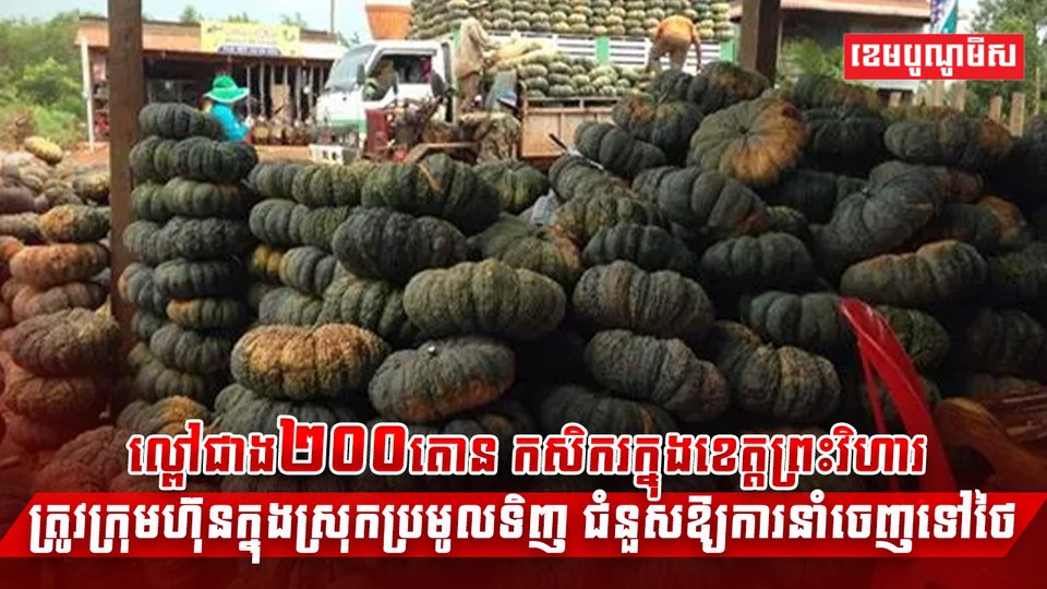 វិស័យកសិកម្ម