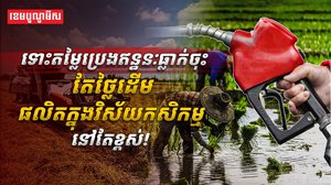 វិស័យកសិកម្ម