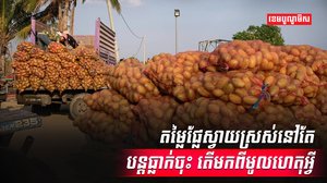 ទីផ្សារផ្លែស្វាយ