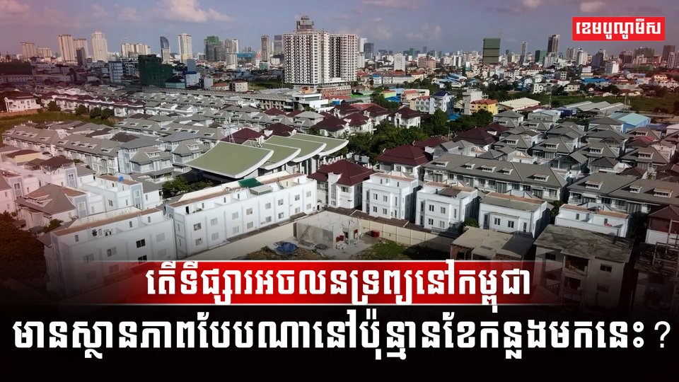 វិស័យអចលនទ្រព្យ