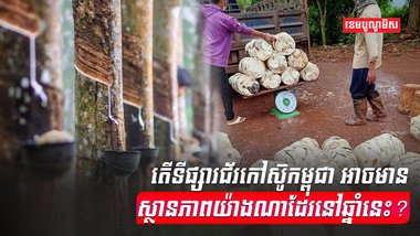 ទីផ្សារជ័រកៅស៊ូ