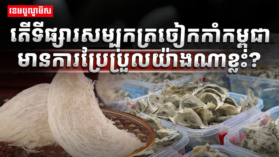 ទីផ្សារសម្បុកត្រចៀកកាំ