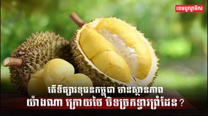 ទីផ្សារទុរេន