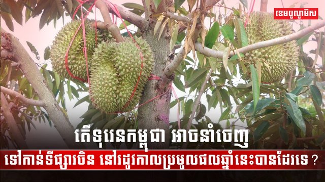 ទីផ្សារទុរេន