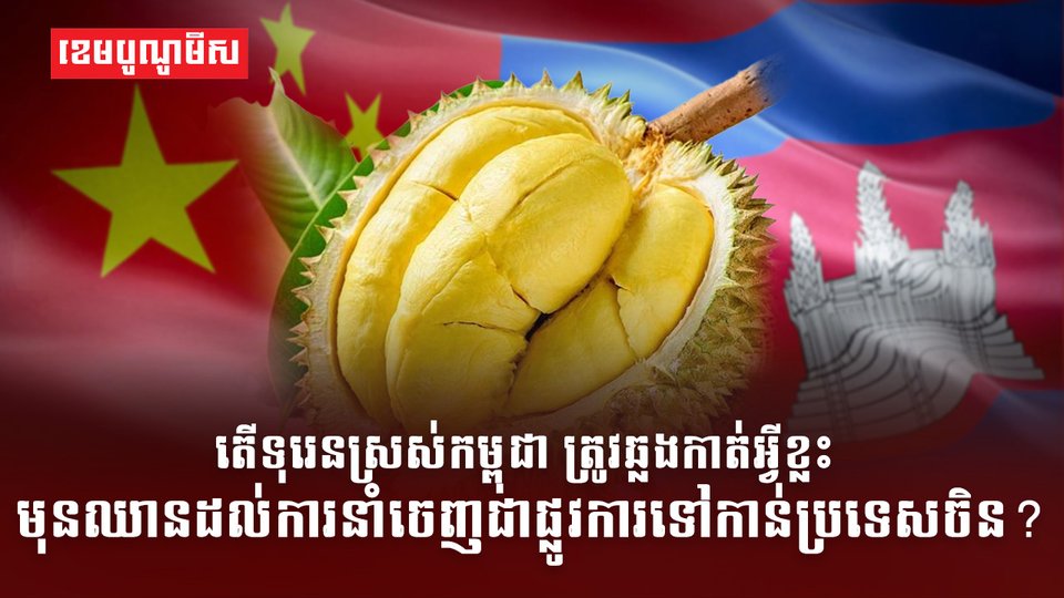 ទីផ្សារផ្លែទុរេន