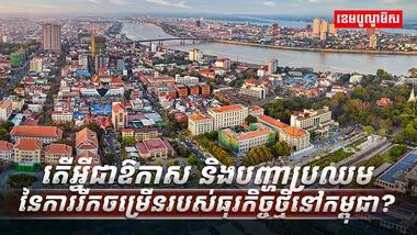 យុទ្ធសាស្ត្រអភិវឌ្ឍន៍ធុរកិច្ច