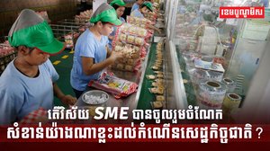 វិស័យ SME