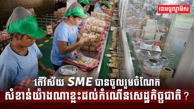 វិស័យ SME